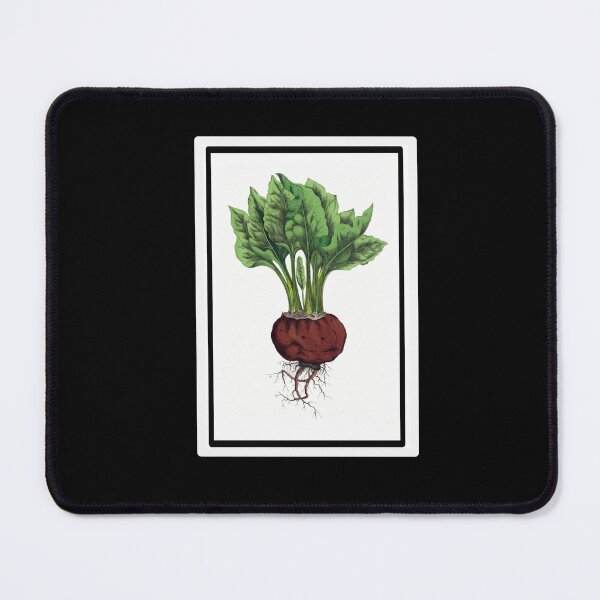 Item preview, Vintage Red Beet Drawing from the 1800's designed and sold by MountMercantile.