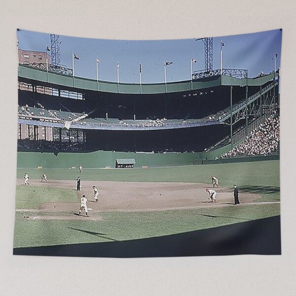 Item preview, Polo Grounds, Left field, New York Baseball Stadium, Old Ballparks, Old Stadiums, infield, 1950s baseball designed and sold by Nostrathomas66.