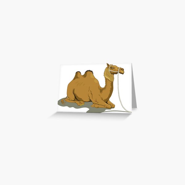 Camel Greeting Card