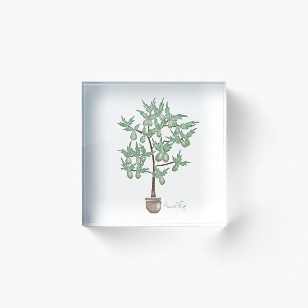 Item preview, Pear Tree in Pot designed and sold by dennisrberry.