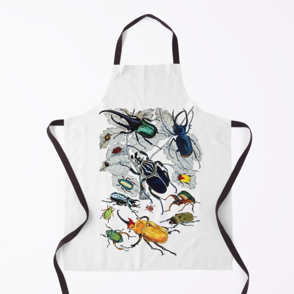 Item preview, Coleoptera Beetles and Weevils Natural designed and sold by aimeewilson.