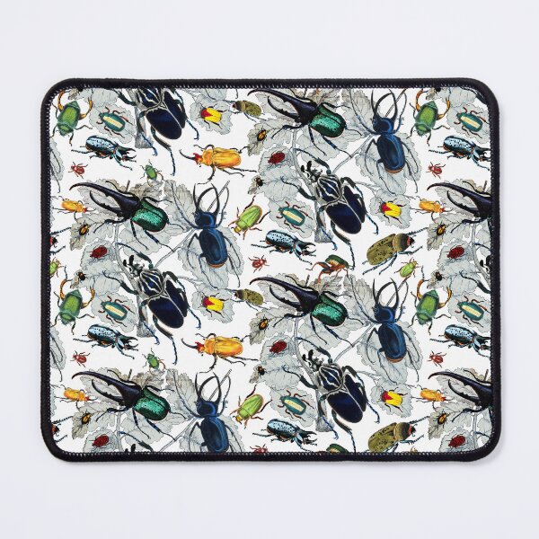 Item preview, Coleoptera Beetles and Weevils Natural designed and sold by aimeewilson.