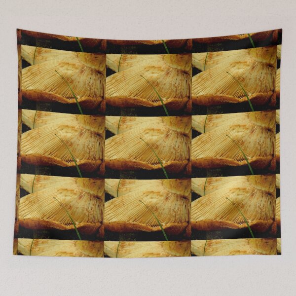Item preview, In the deep, deep woods....    ^ designed and sold by ctheworld.