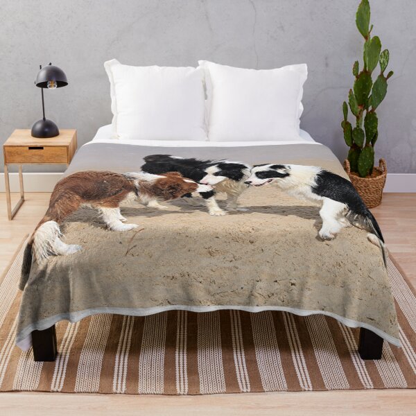 Item preview, Three dogs at the beach designed and sold by FranWest.