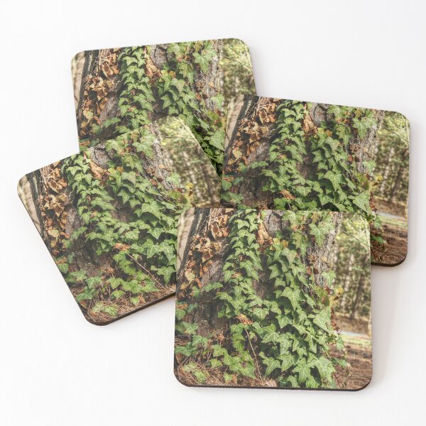 Item preview, Ivy designed and sold by SarahEL17.