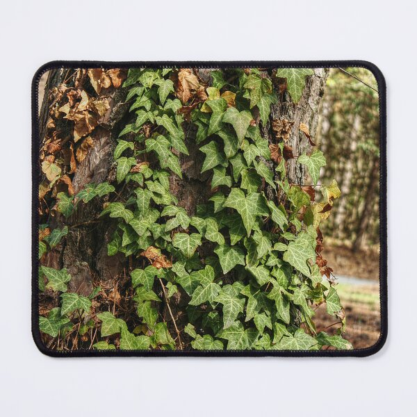 Item preview, Ivy designed and sold by SarahEL17.