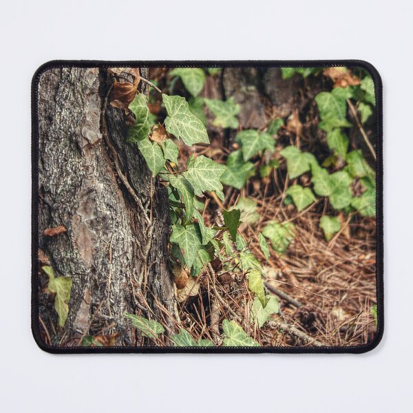 Item preview, Ivy Leaves designed and sold by SarahEL17.