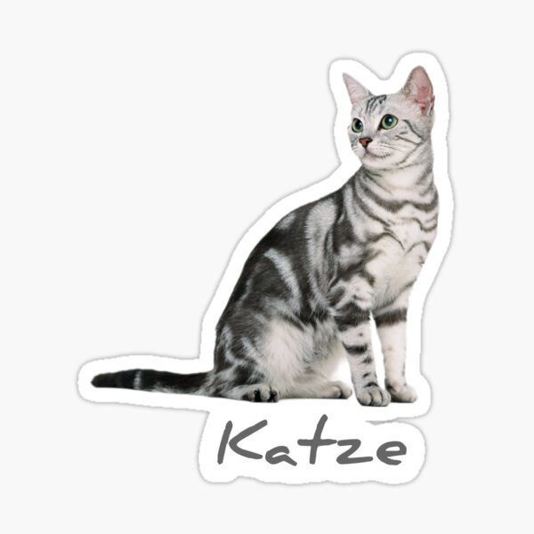 Artikel-Vorschau von Katze, designt und verkauft von Body-and-nature.