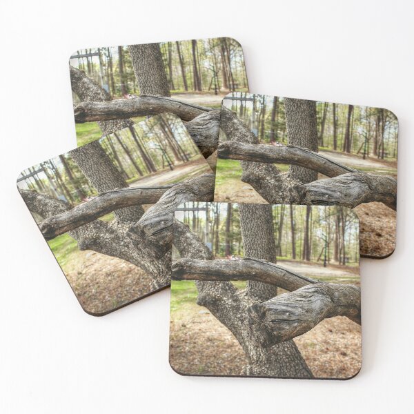 Item preview, Broken Branches designed and sold by SarahEL17.
