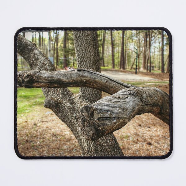 Item preview, Broken Branches designed and sold by SarahEL17.
