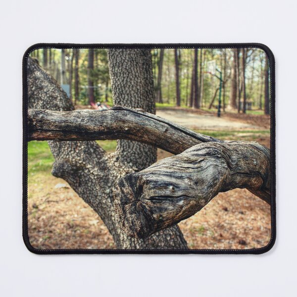 Item preview, Cracked Branches designed and sold by SarahEL17.