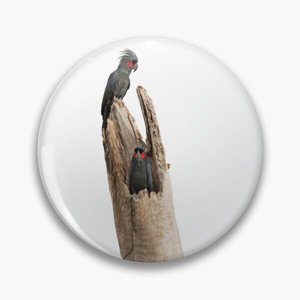 Item preview, Palm Cockatoo pair at the breeding hollow designed and sold by CNZdenek.
