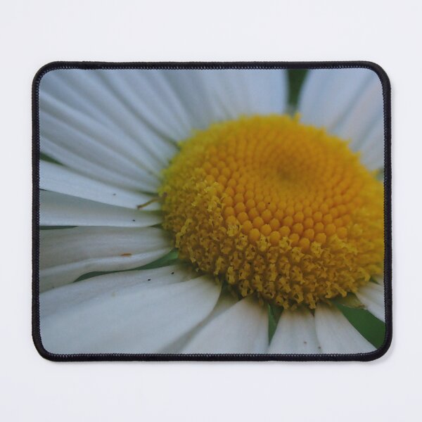 Item preview, White Daisy designed and sold by Thegreatnerd.
