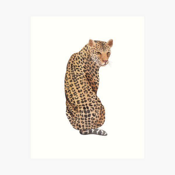 New Trippy Leopard Cat Flowing Psychedelic Colors Framed Canvas Wall Art Print New Trippy Leopard Cat Flowing Psychedelic Colors Framed Canvas Wall Art Print