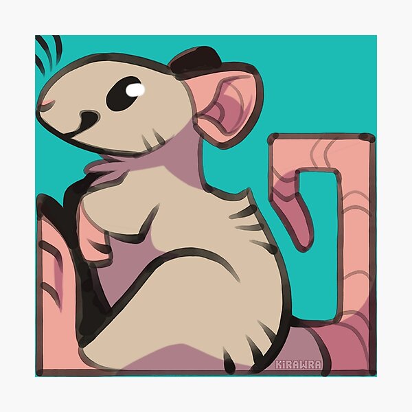 Pet Rat Photographic Print