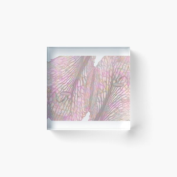 Item preview, Amaryllis Petals designed and sold by Sandra Foster.