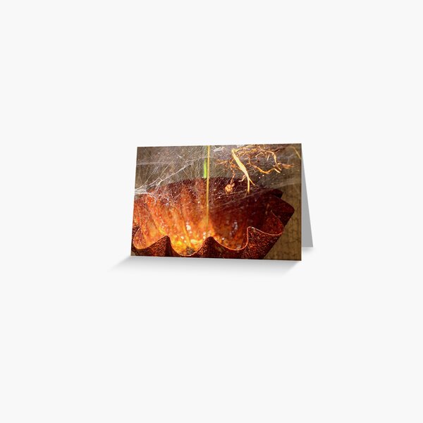 rust Greeting Card