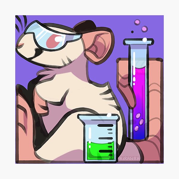 Lab Rat Photographic Print