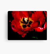 red Canvas Print