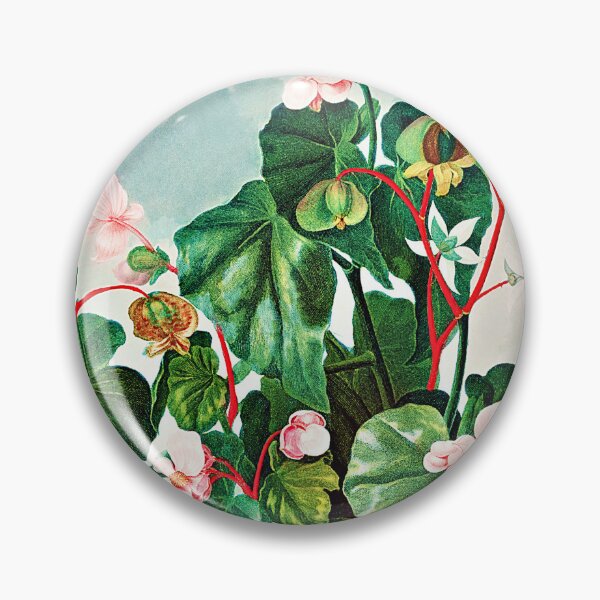 Item preview, The Oblique-Leaved Begonia from The Temple of Flora (1807) by Robert John Thornton designed and sold by RyanCaudell.
