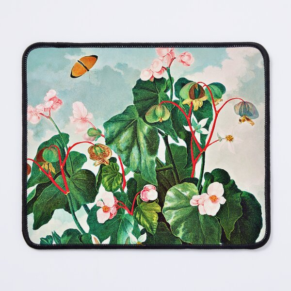 Item preview, The Oblique-Leaved Begonia from The Temple of Flora (1807) by Robert John Thornton designed and sold by RyanCaudell.
