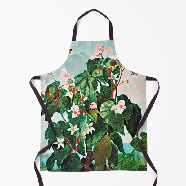 Item preview, The Oblique-Leaved Begonia from The Temple of Flora (1807) by Robert John Thornton designed and sold by RyanCaudell.