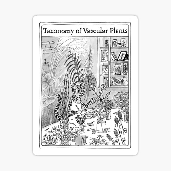 Item preview, Plant Taxonomy designed and sold by himelblau.