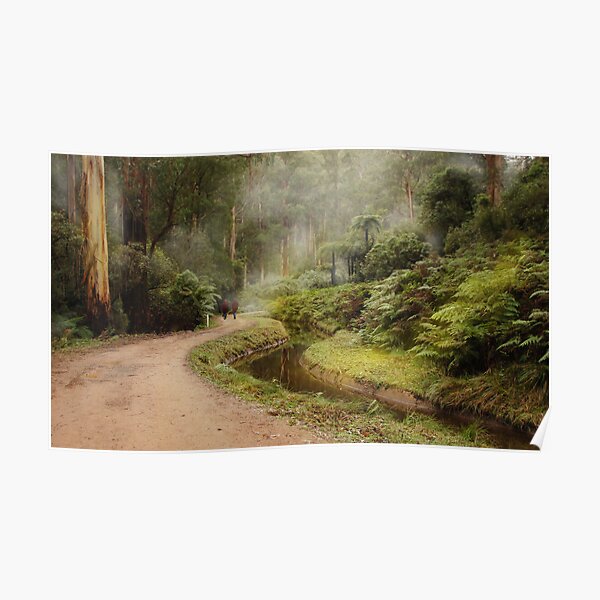 A walk in the forest Poster
