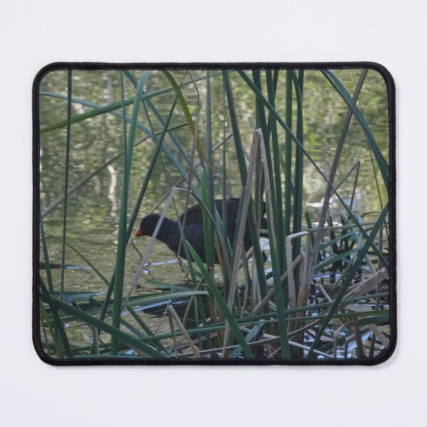 Item preview, Bella Vista Wader designed and sold by scholara.