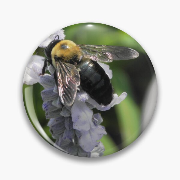 Item preview, Bee 1 designed and sold by VDVimagery.