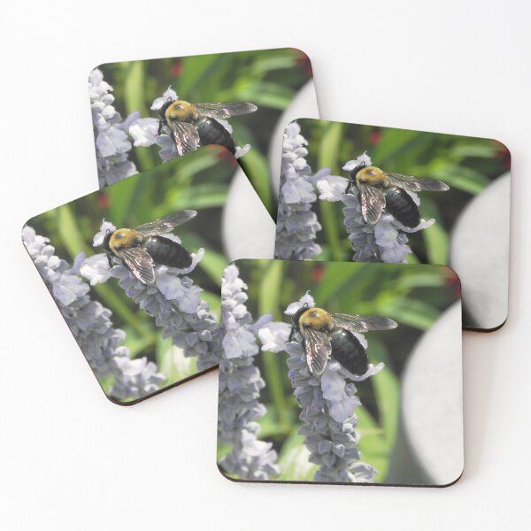 Item preview, Bee 1 designed and sold by VDVimagery.