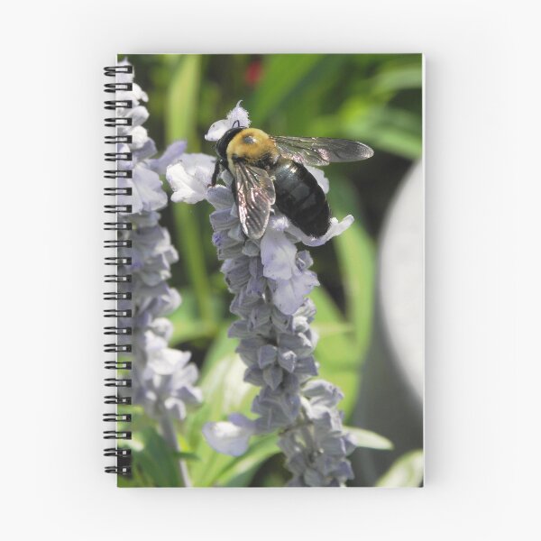 Item preview, Bee 1 designed and sold by VDVimagery.
