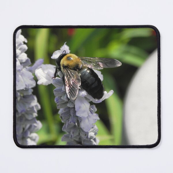 Item preview, Bee 1 designed and sold by VDVimagery.