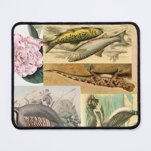 Item preview, Victorian Nature Miscellany Pattern designed and sold by Ferocious-Pear.