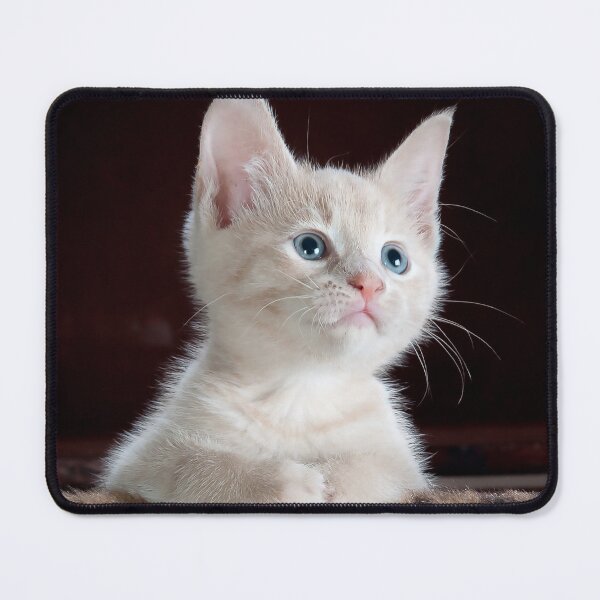 Item preview, Adorable Kitty designed and sold by Ellecher23.