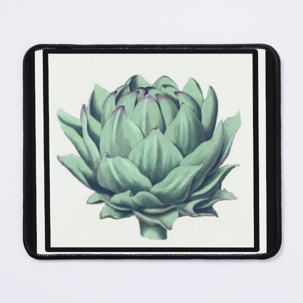 Item preview, Vintage Artichoke Drawing from the 1800's designed and sold by MountMercantile.