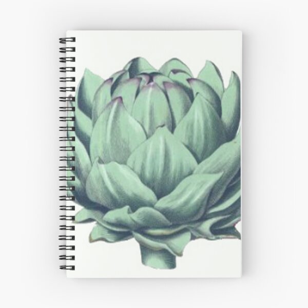 Item preview, Vintage Artichoke Drawing from the 1800's designed and sold by MountMercantile.