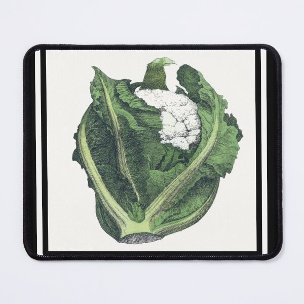 Item preview, Vintage Cauliflower Drawing from the 1800's designed and sold by MountMercantile.