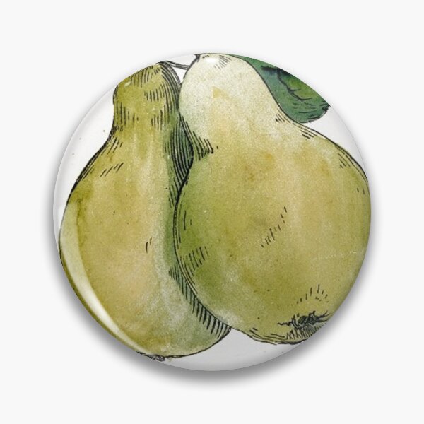Item preview, Vintage Pears Drawing from the 1800's designed and sold by MountMercantile.