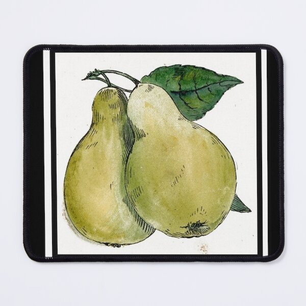 Item preview, Vintage Pears Drawing from the 1800's designed and sold by MountMercantile.