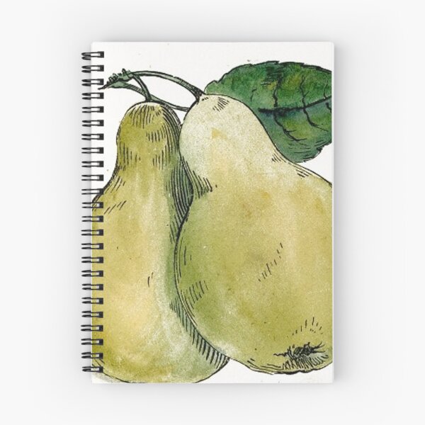 Item preview, Vintage Pears Drawing from the 1800's designed and sold by MountMercantile.