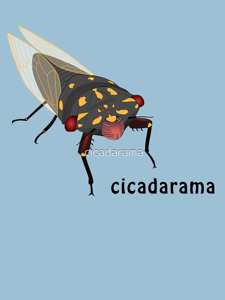 Cicadarama - Cherrynose cicada by cicadarama