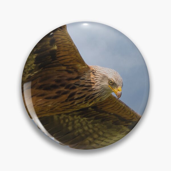 Item preview, Cometa roja en vuelo designed and sold by inspireyoureyes.