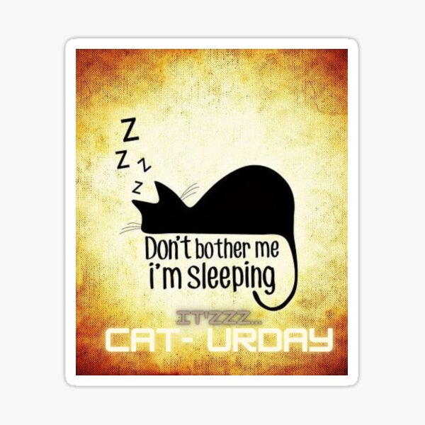 Don't Disturb me...I'm Sleeping...zzzz...IT'zzzz Cat-Ur-Day (Cat-urday) Sticker