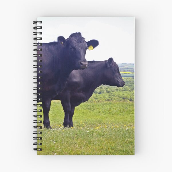 Item preview, Cley Cows Too A designed and sold by VikingVisual.