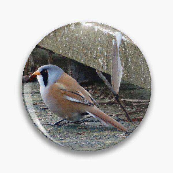 Item preview, Bearded Reedling designed and sold by TwistedClassics.