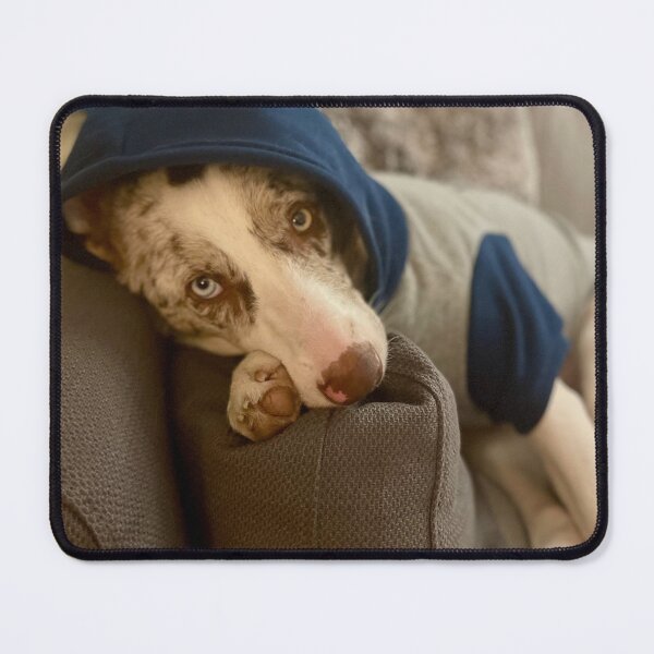 Item preview, Just hangin’… designed and sold by Nala.