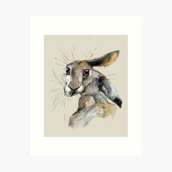 Rabbit Bunny Hare Cute Realistic Drawing Wildlife Animal - Bunny - Sticker