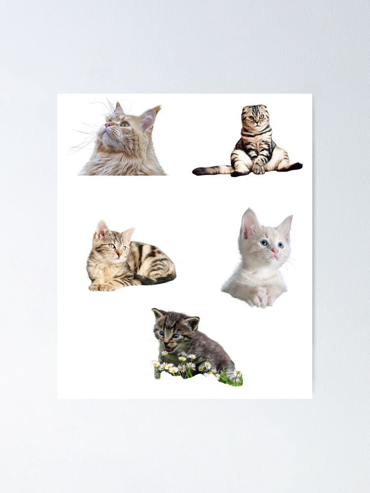 Cute Cats Sticker Pack Poster For Sale By Samxdesigns Redbubble 1598