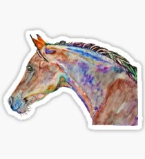 Arabian dream Sticker